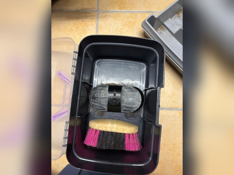 2 Pferdeboxen mit Inhalt