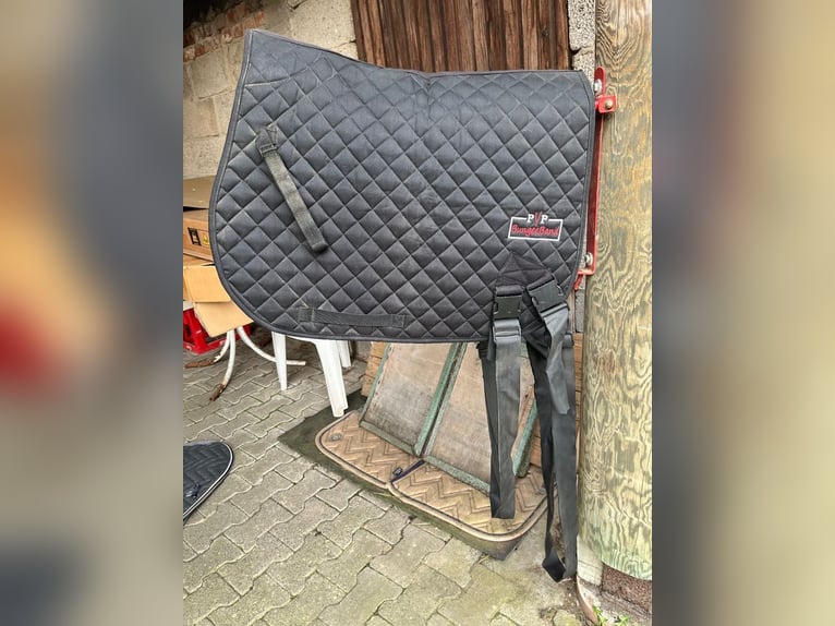 2 Pferdeboxen mit Inhalt