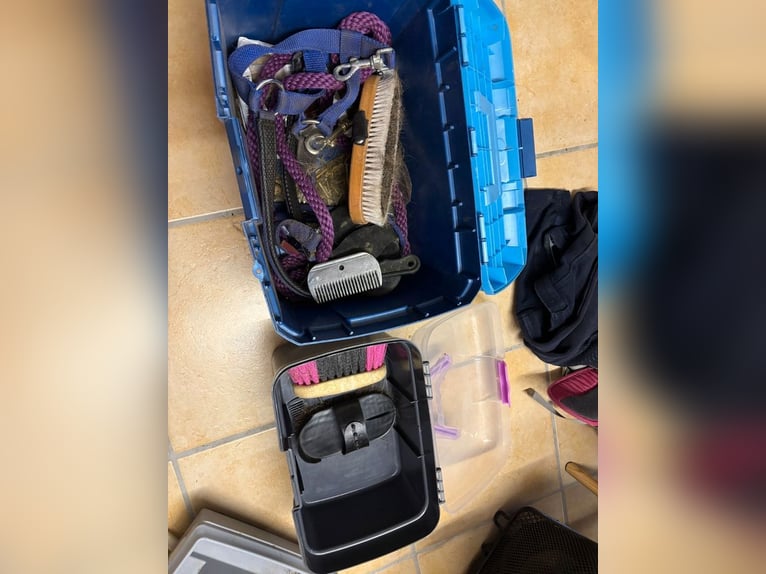 2 Pferdeboxen mit Inhalt