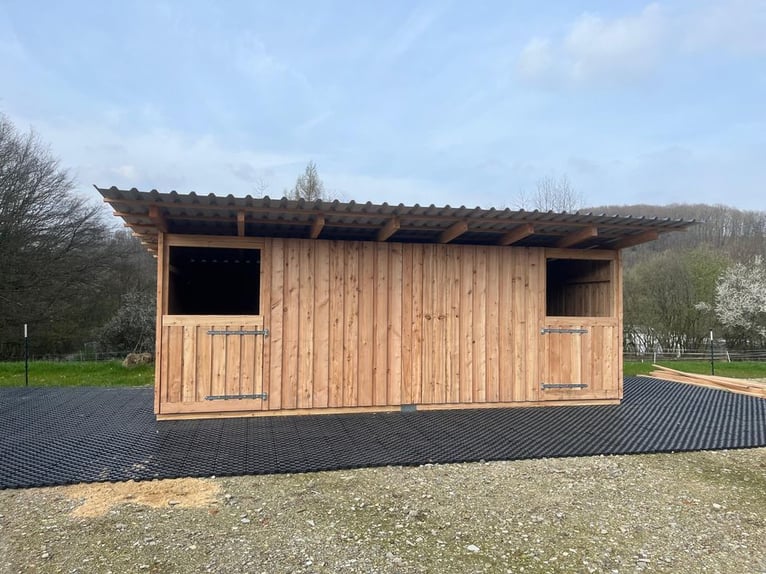 2er Pferdebox Weidehütte