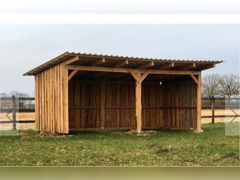 2er Pferdebox Weidehütte