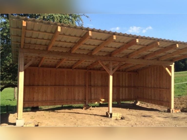 2er Pferdebox Weidehütte