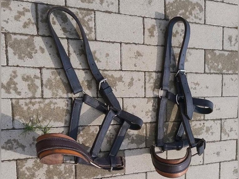 2x Qualitätshalfter vom Sattler Lederhalfter WB Halfter