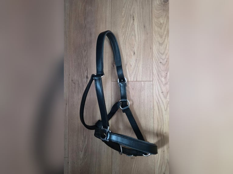Aroequi Boxenvorhang