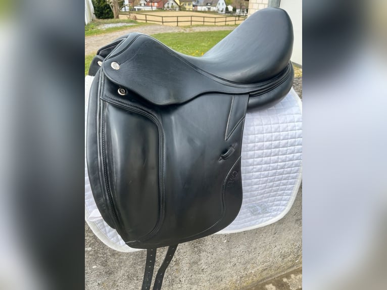 Bemer Horse set