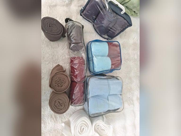 Biete Longierset fürs Pferd
