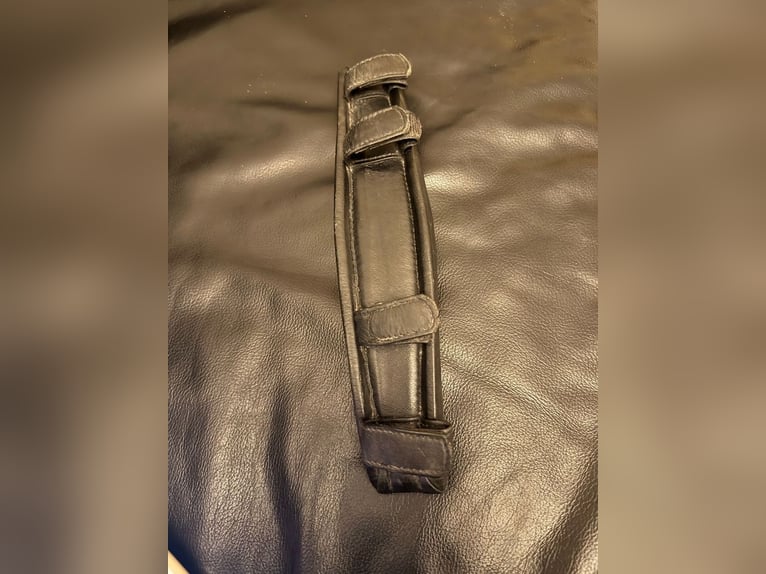 Biete Longierset fürs Pferd