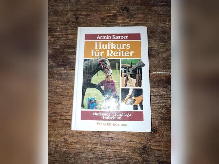 Biete Longierset fürs Pferd