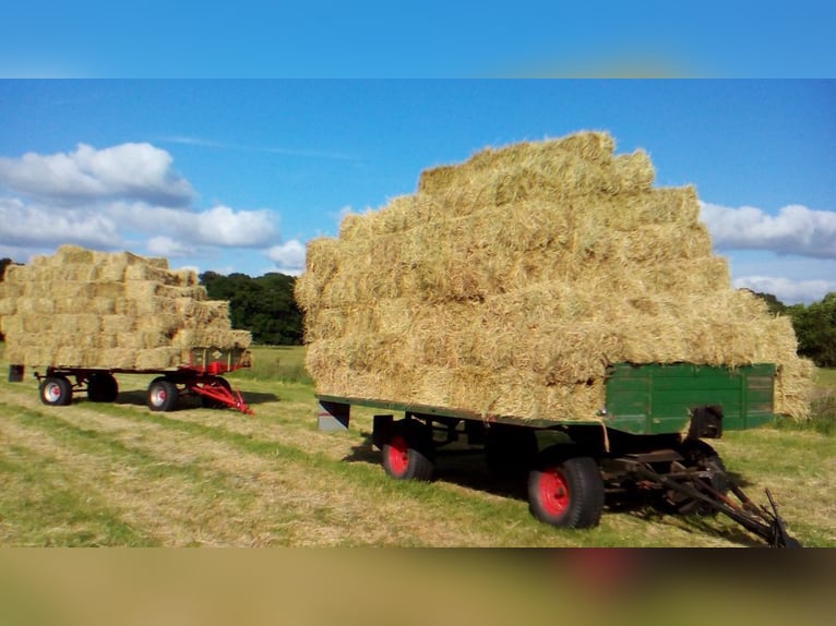 Bio Heu Pferde Schafe Ziegen Hasen und Kleintiere