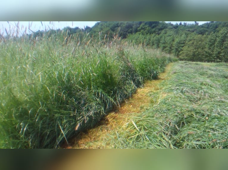 Bio Heu Pferde Schafe Ziegen Hasen und Kleintiere