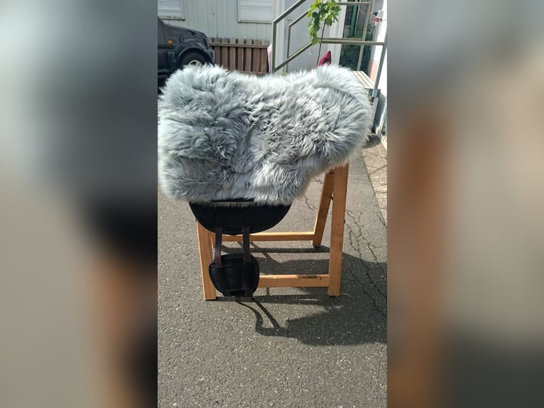 Brockcamp Reitpad fast neu schwarz