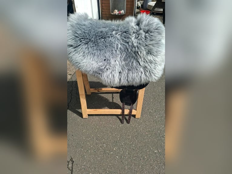 Brockcamp Reitpad fast neu schwarz