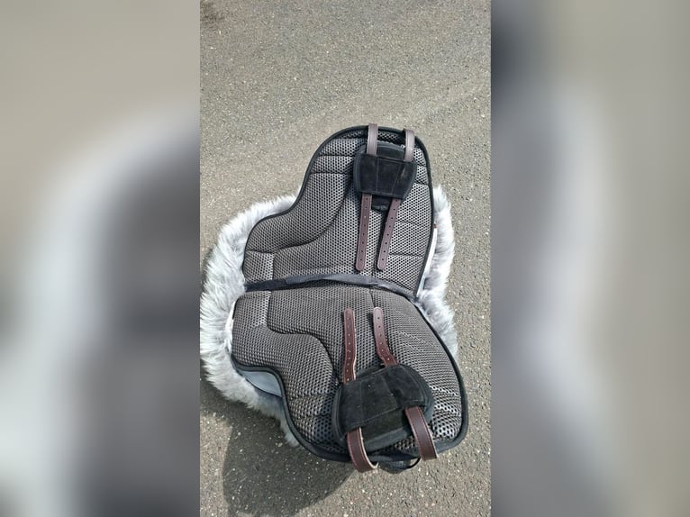 Brockcamp Reitpad fast neu schwarz