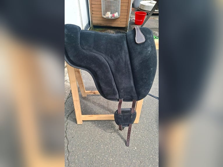Brockcamp Reitpad fast neu schwarz
