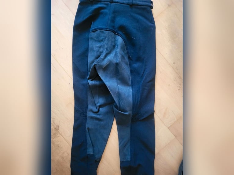 Busse Reithose Größe 44
