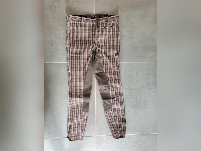 Busse Reithose Größe 44