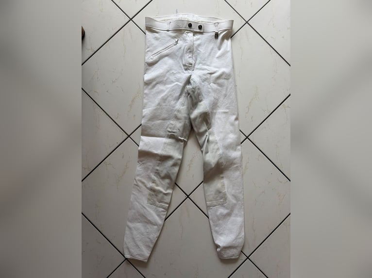 Cavallo Reitstrümpfe Cavalsindi Hazel Hellbraun 39-42 NEU