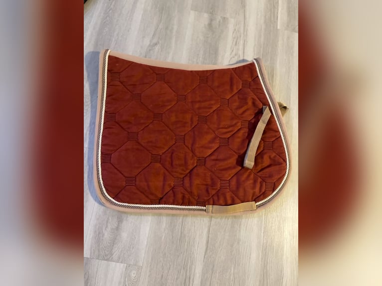 Covalliero Chaps Kinder Gr. 146
