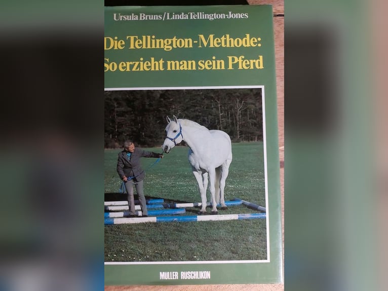 Die Tellington- Methode So erzieht man sein Pferd