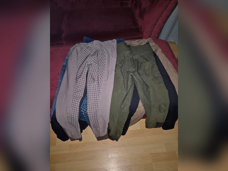 diverse neue Reithosen S XS