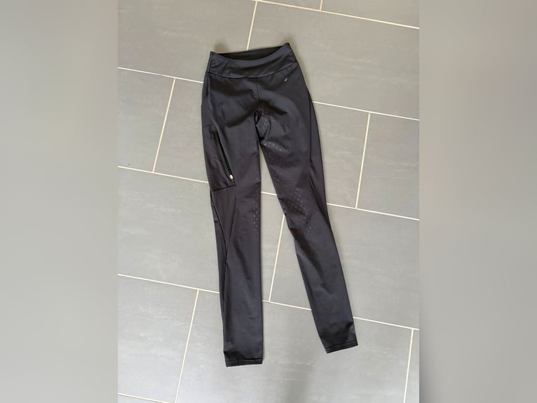 diverse neue Reithosen S XS