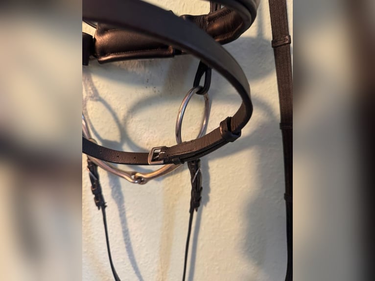 Döbert Trense, WB, Sprenger Gebiss, NP: 489€