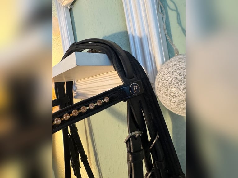 Döbert Trense, WB, Sprenger Gebiss, NP: 489€