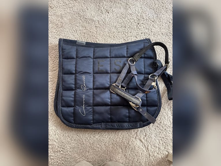 Dreiecksausbinder Full