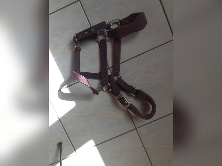 Dreiecksausbinder Full