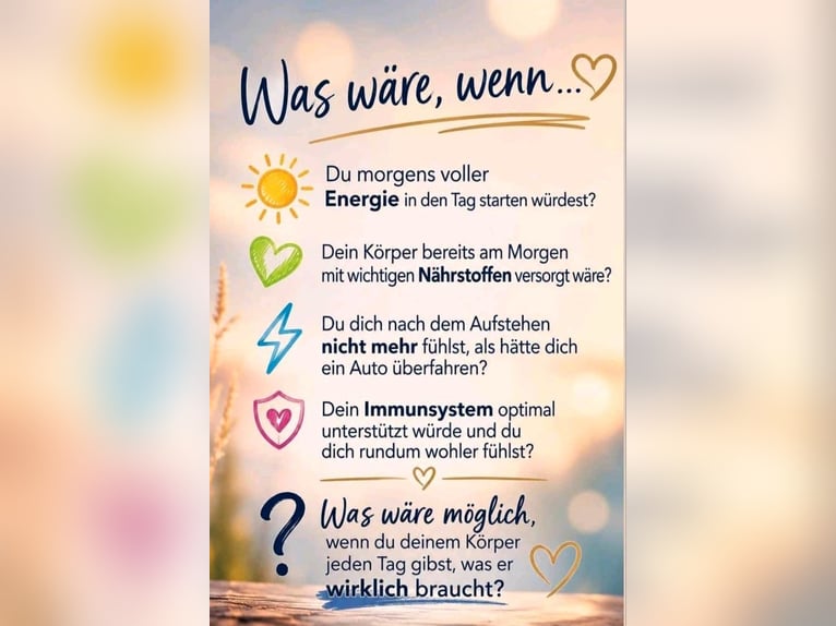 Dressur Schabracke Eskadron
