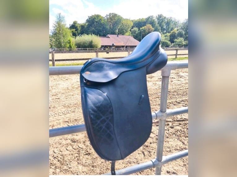 Dressursattel 17,5 Zoll super Zustand