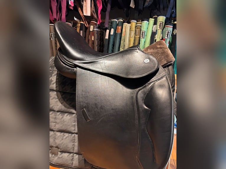 Dressursattel Stübben Maestoso de Luxe