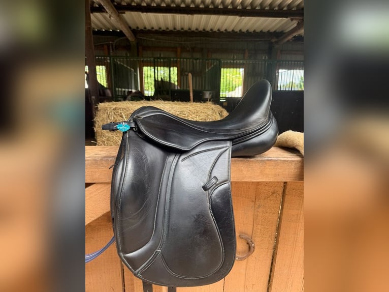 Dressursattel Stübben Maestoso de Luxe
