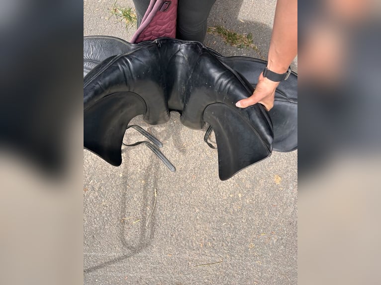 Dressursattel Stübben Maestoso de Luxe