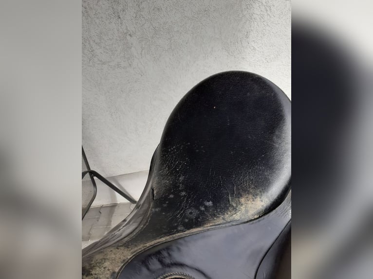 Dressursattel Stübben Scandica