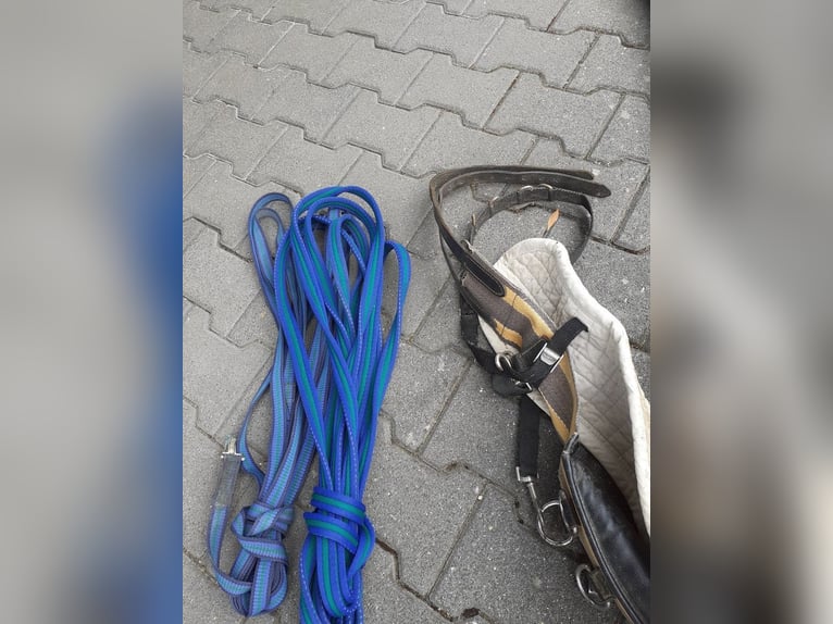 Dressursattel Stübben Scandica