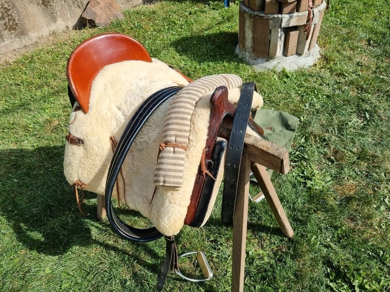 Dressursattel Wintec 500 Hart 16,5