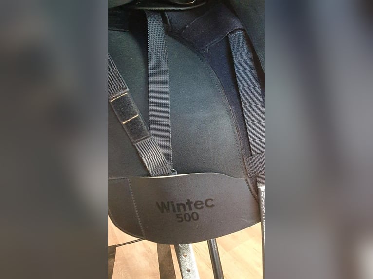 Dressursattel Wintec 500 Hart 16,5
