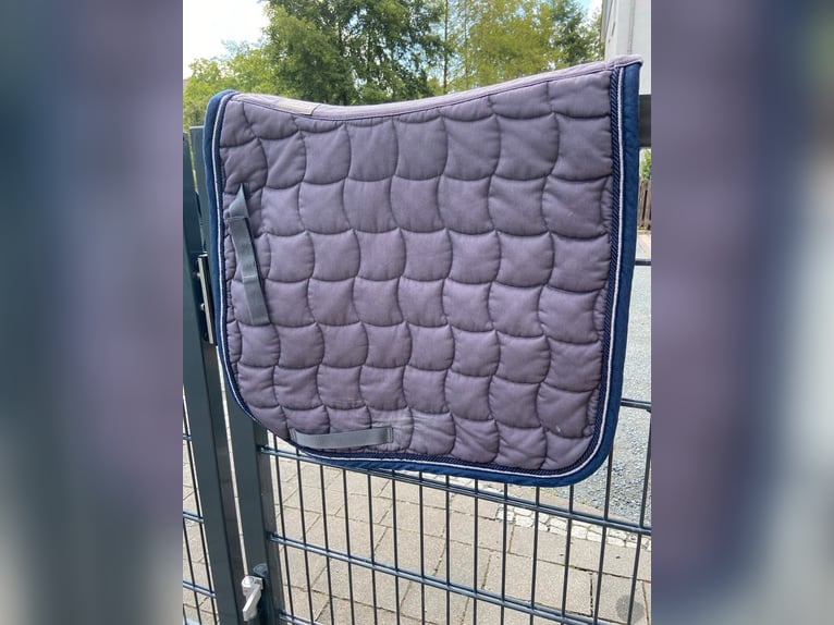 Dressurschabracke neu