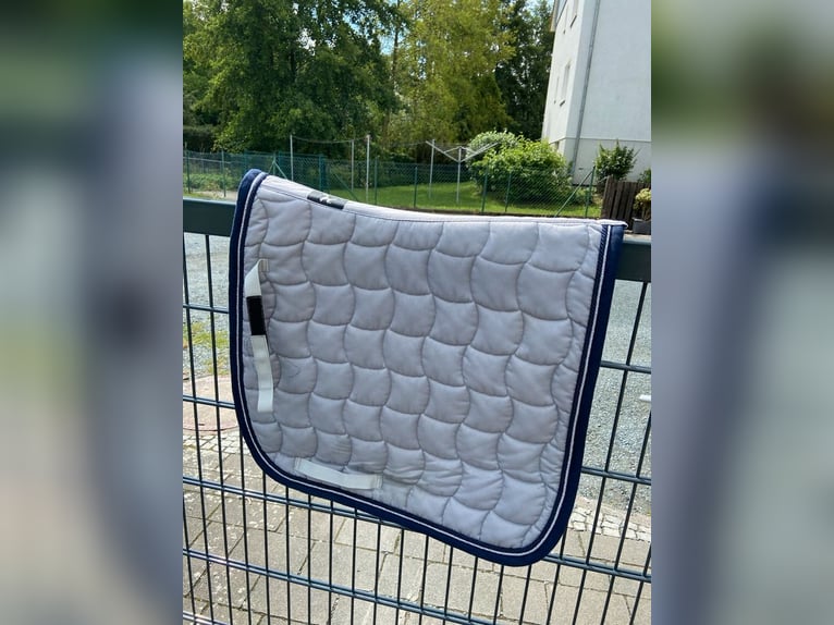 Dressurschabracke neu