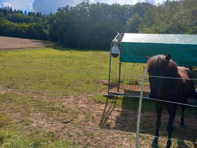Einstellmöglichkeit für ein Pferd bis 160 STM