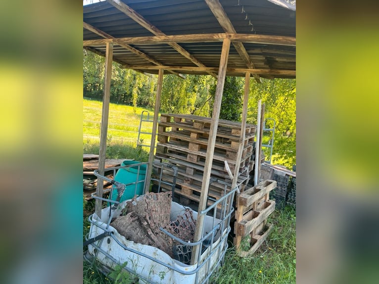 Einstellmöglichkeit für ein Pferd bis 160 STM