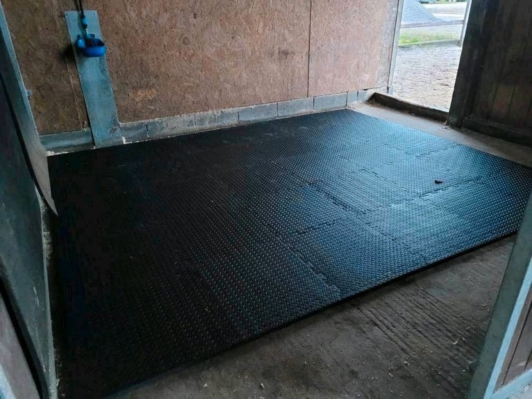 EVA Stallmatten NEU 3,4 cm 60x60 cm GRATIS Versand Boxenmatten