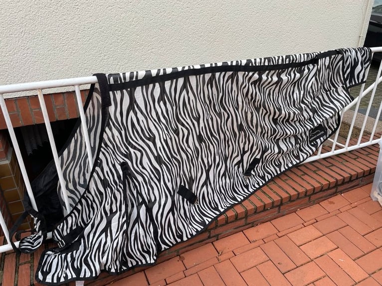 Fliegendecke Shetty