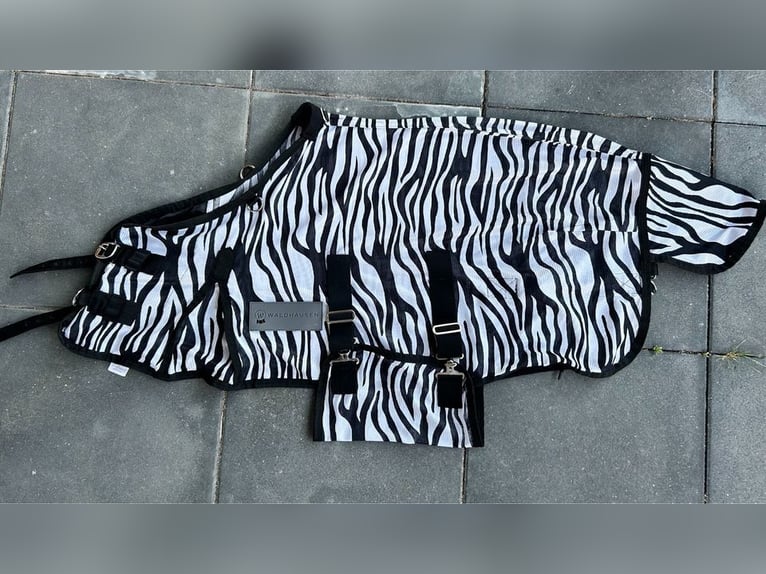 Fliegendecke Zebra Shetty