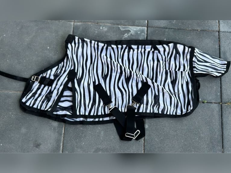Fliegendecke Zebra Shetty