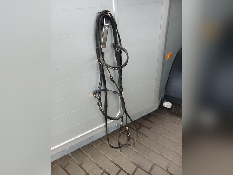 Gebiss doppelt gebrochen 13,5 cm 14 mm dick