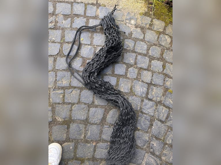 Gebisslose Trense mit Zügel
