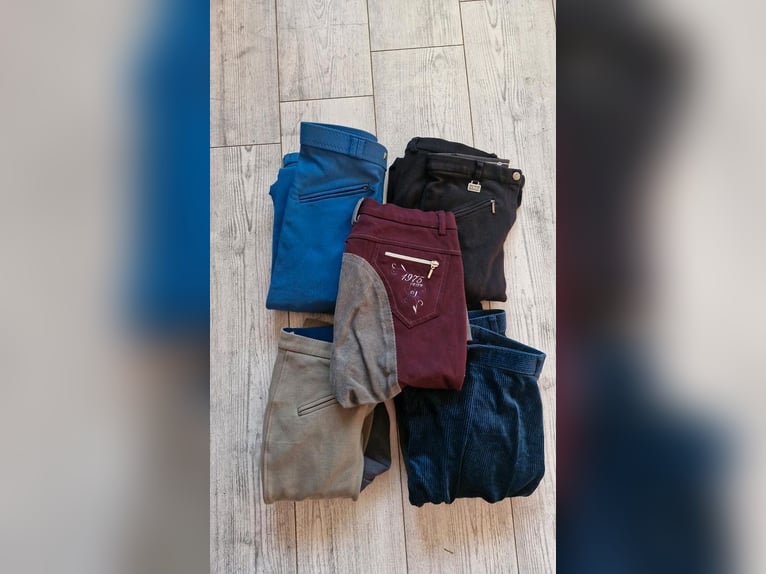 GEORG SCHUMACHER Reithose Gr. 34 / XS - Stretch - Teilbesatz