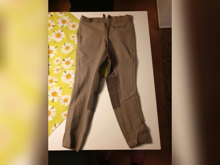 GEORG SCHUMACHER Reithose Gr. 34 / XS - Stretch - Teilbesatz